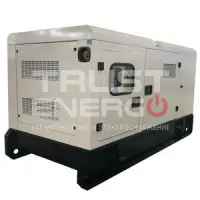 Дизельный генератор Zammer AD16-T400 в кожухе Ricardo 490D trustenergo.ru