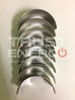 Вкладыши шатунные TDQ 20 4L/Big-end Bearing